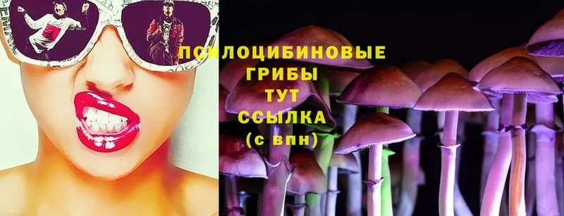 Галлюциногенные грибы Cubensis  Новосиль 